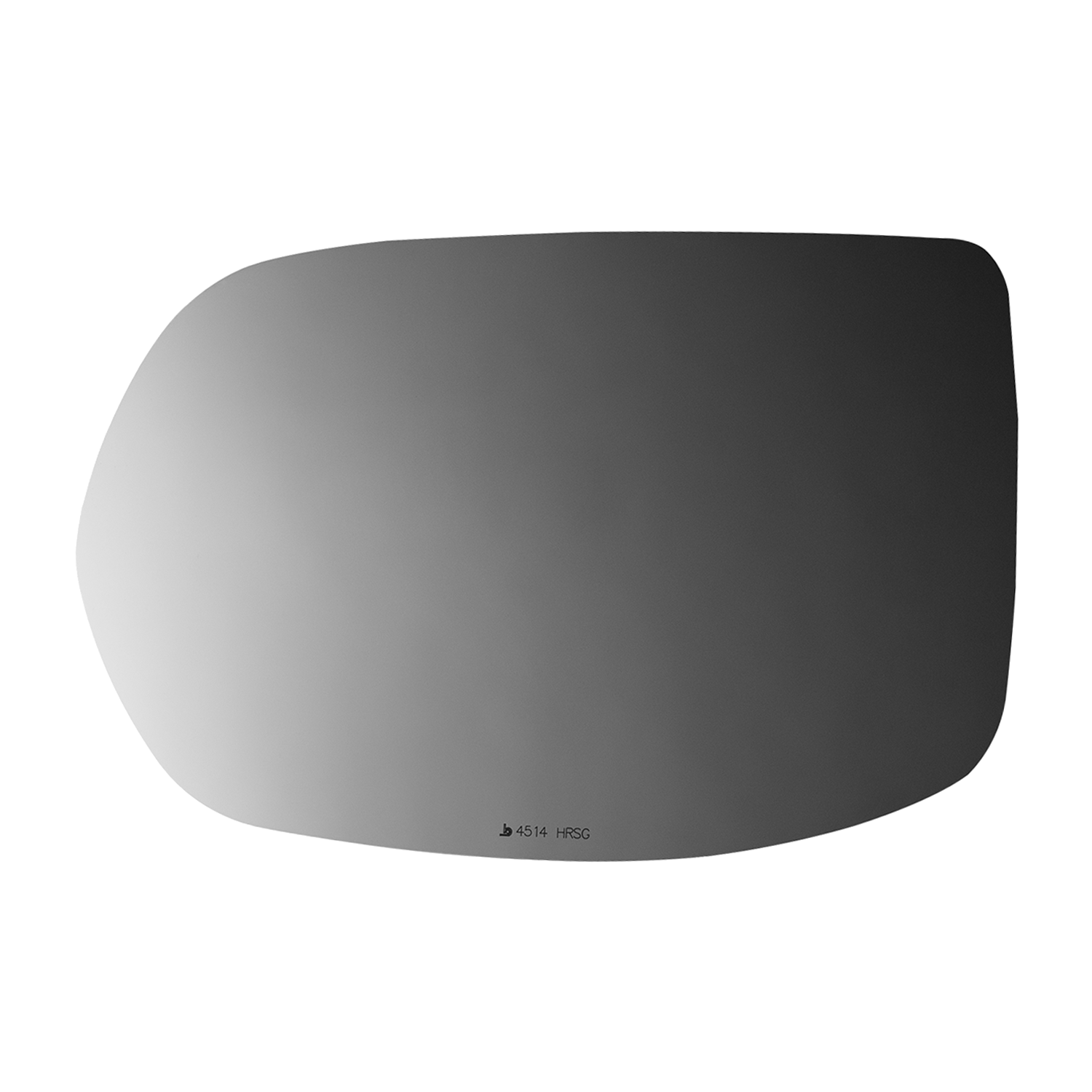 SIDE VIEW MIRROR HEATED W MOUNT